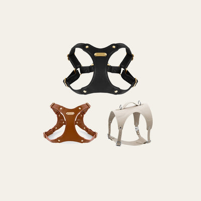Best Harness for a Dog That Pulls