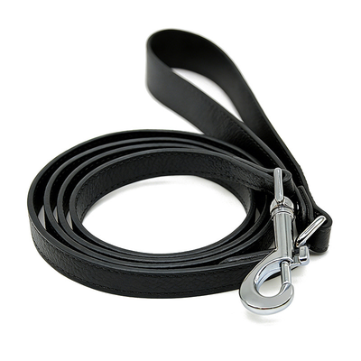 Earth Tones Lead for Small Dogs, 150cm 2cm wide