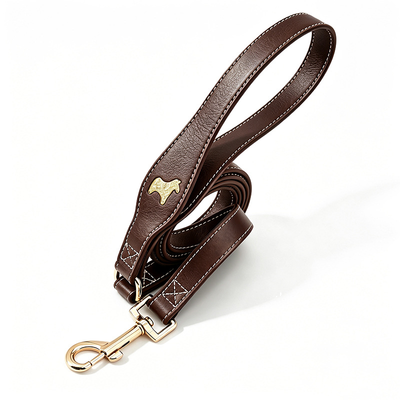 Earth Tones Lead for Small Dogs