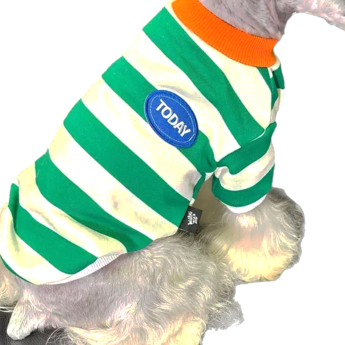 Striped Coat for Small Dogs