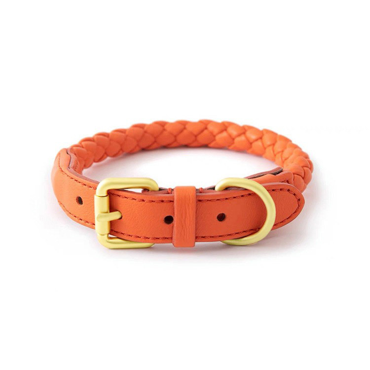 Leather Collar in Earth Tones for Medium to Large Dogs