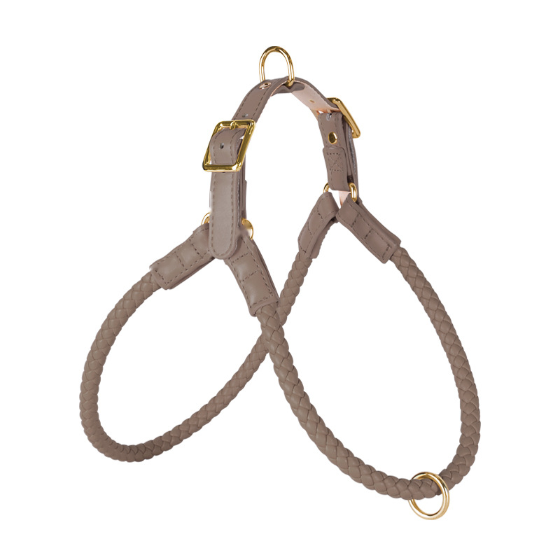 Leather Harness in Earth Tones for Medium to Large Dogs