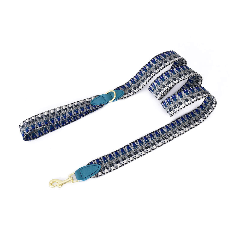 Brights Lead for Small Dogs, 150cm 3.8cm wide