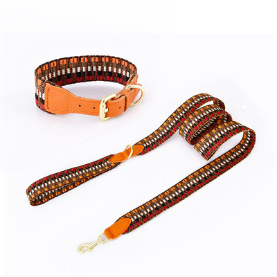 Brights Set for Small Dogs
