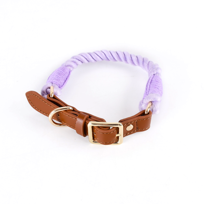 Citrus Ombre Cotton Rope Collar, Brown Trim