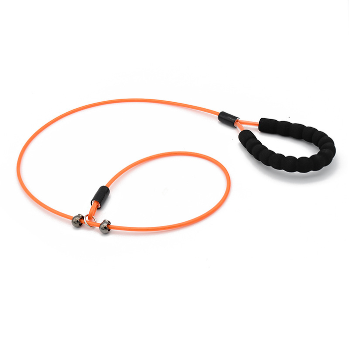 Teal Rope Slip Lead with Padded Handle