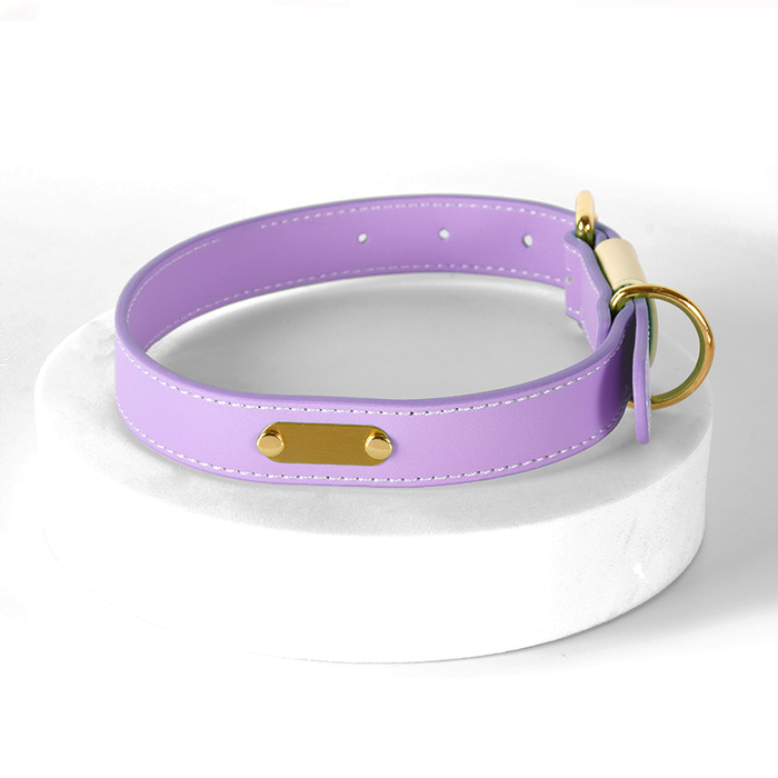 Mint & Butter Colour-Block Leather Collar