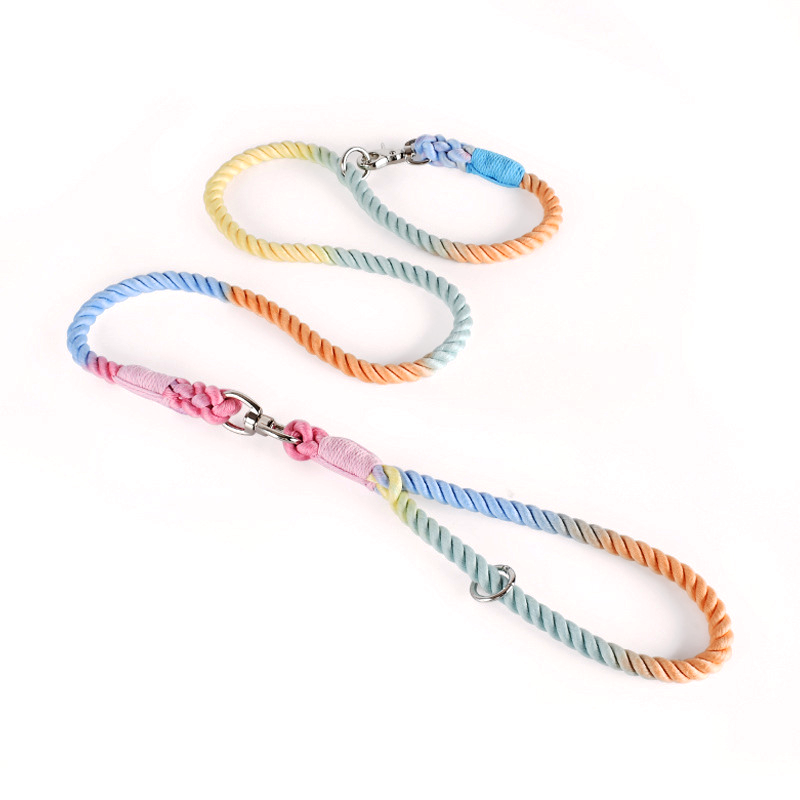 Rainbow Ombre Rope Slip Dog Lead