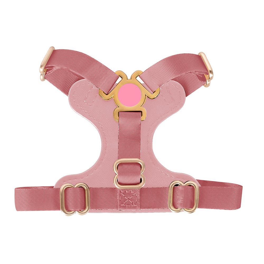 Cream & Black Leather Cat Harness with Gold Trim