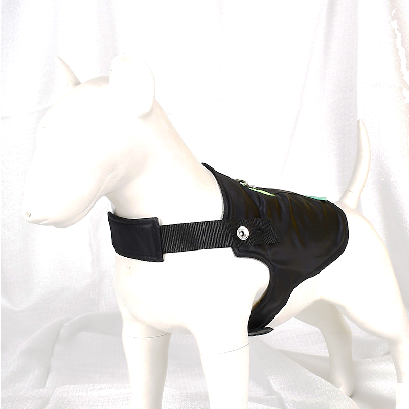 Dog Outing Accessory Kit in Black