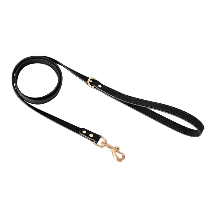 Powder Blue Leather Cat Lead