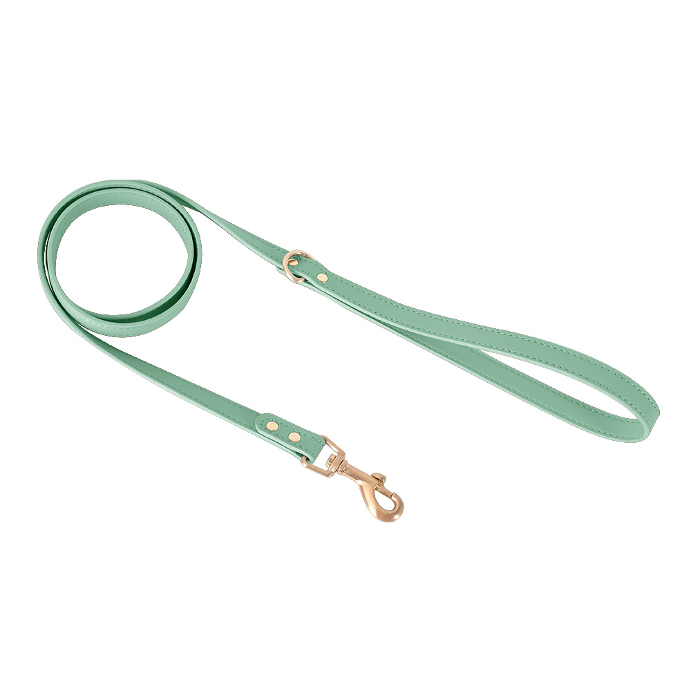 Powder Blue Leather Cat Lead