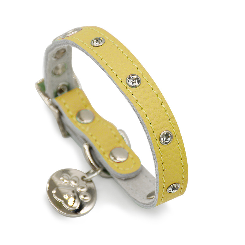 Sparkle Stud Collar with Engravable Tag