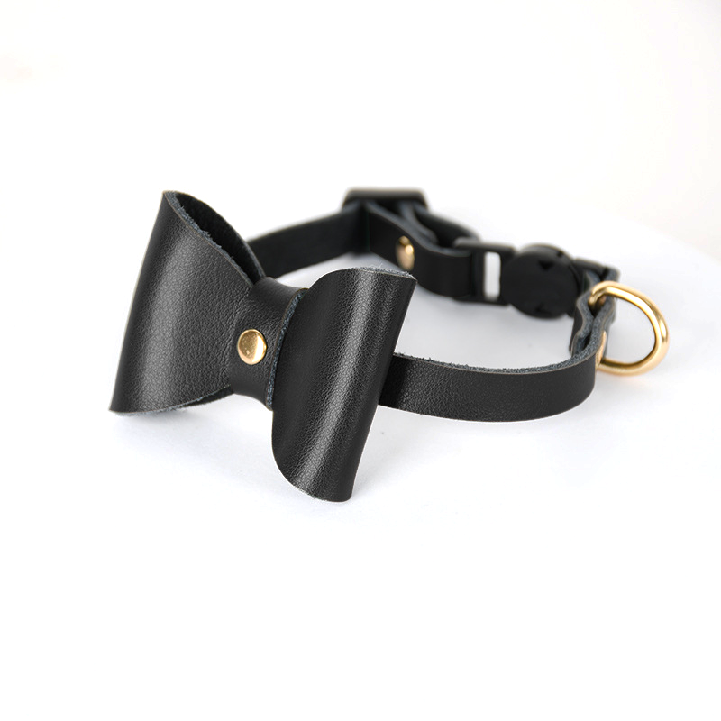 Black Cat Collar for Cats & Small Dogs