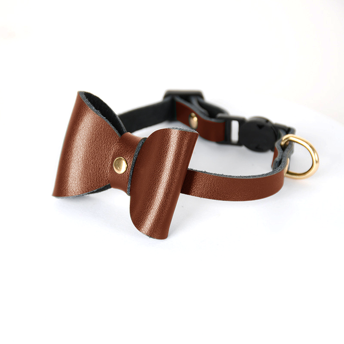 Black Cat Collar for Cats & Small Dogs