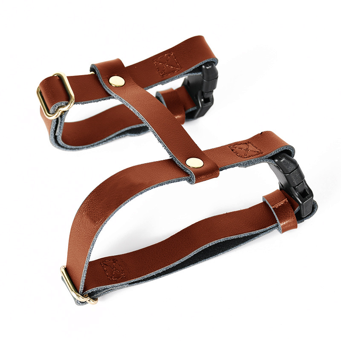 Harness in Black for Cats & Small Dogs