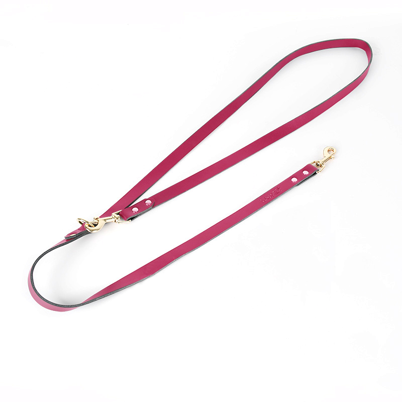 Lead in Black for Cats & Small Dogs