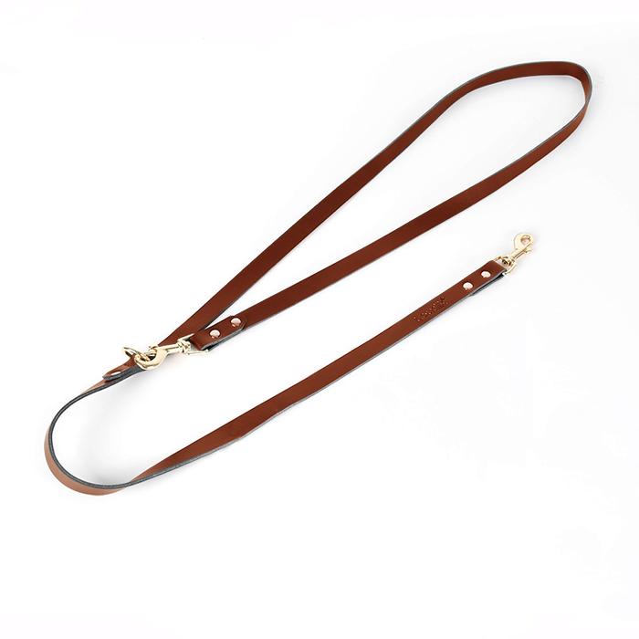 Lead in Black for Cats & Small Dogs