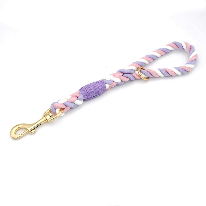 Pastel Twist Short Traffic Lead with Buckle Collar