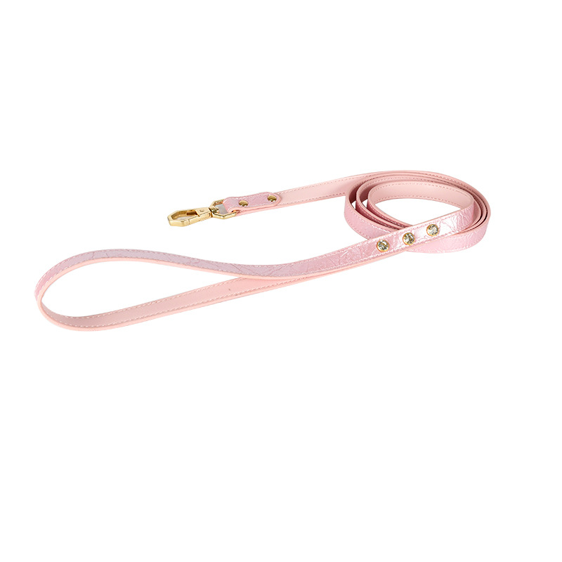 Ballet Pink Bow Lead