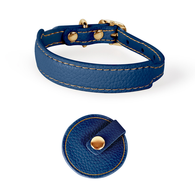 Brights Cat Collar & Lead Set for Small Dogs