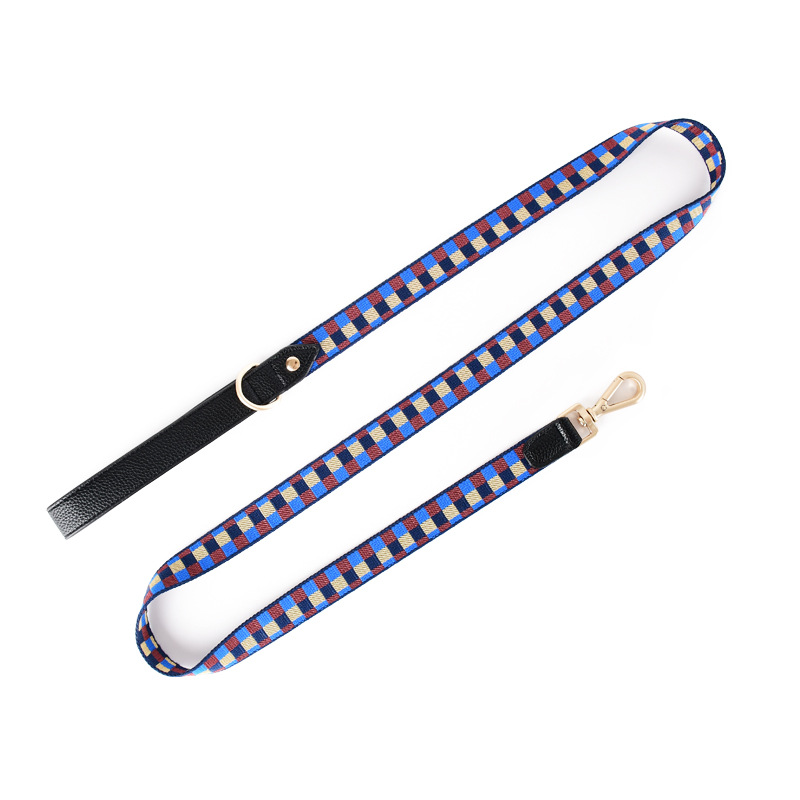 Nylon Lead in Blue for Medium to Large Dogs