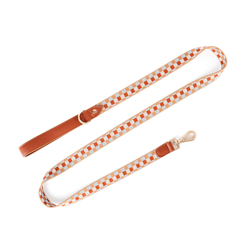 Nylon Lead in Blue for Medium to Large Dogs