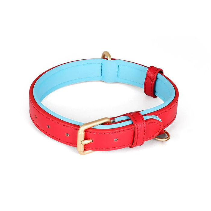Contrast-Lined Classic Collar in Genuine Leather