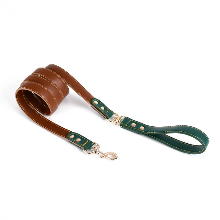 Forest & Mustard Colour-Block Lead