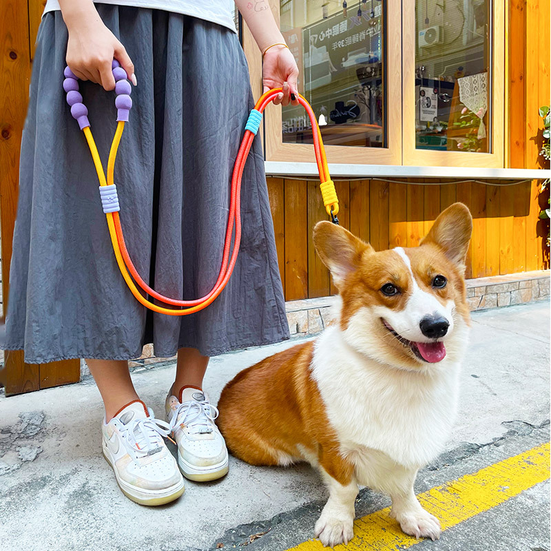 Two-Tone Hands-Free Running Lead