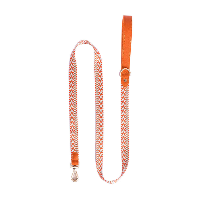Arrowhead Webbing Lead, Genuine Leather Trim