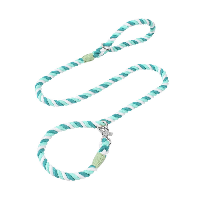 Mint Hand-Braided Cotton Rope Slip Lead