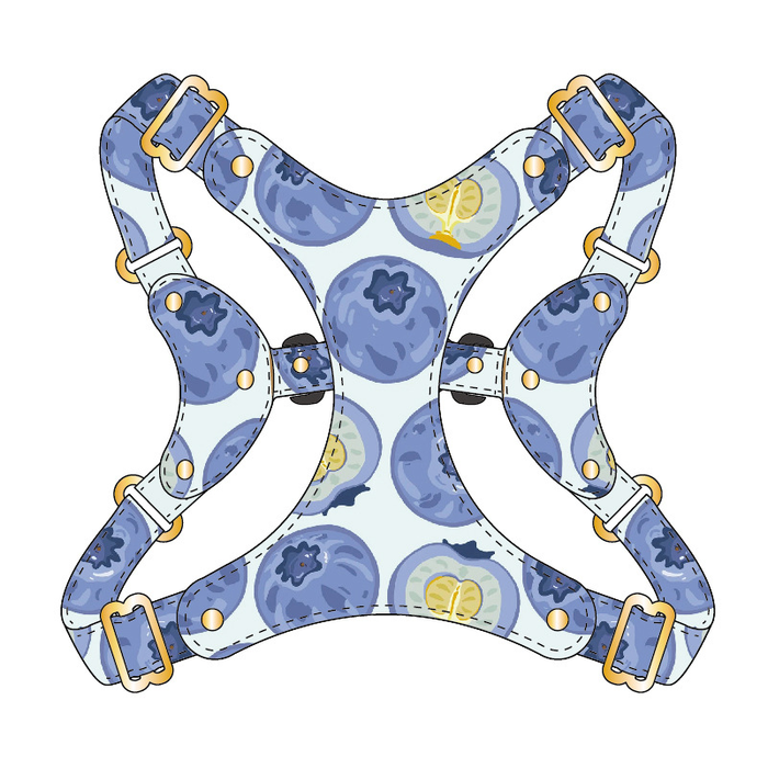 Lime Fruit Print Vest Harness
