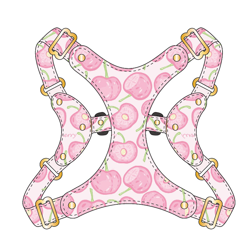 Lime Fruit Print Vest Harness
