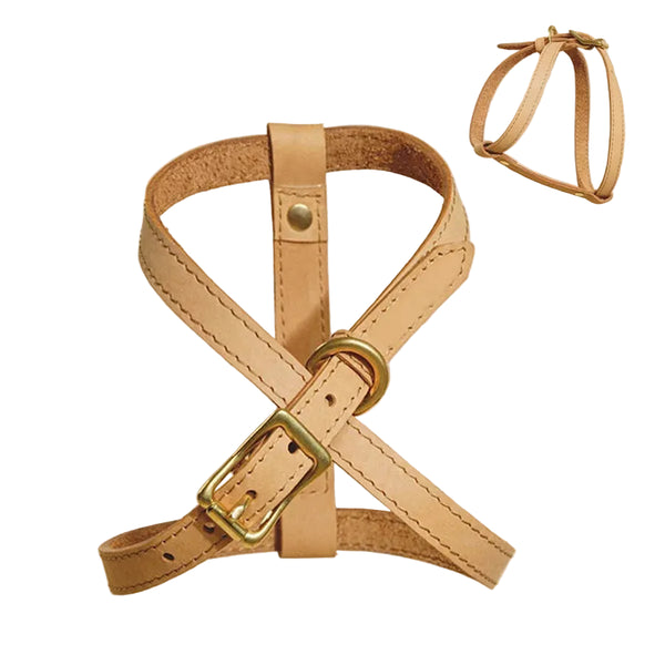 Y-Shape Dog Harness - Adjustable - 4