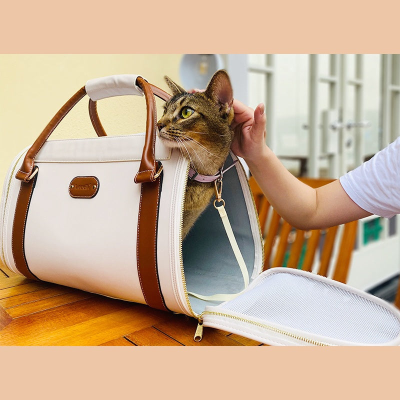 Tan Carrier for Small Dogs