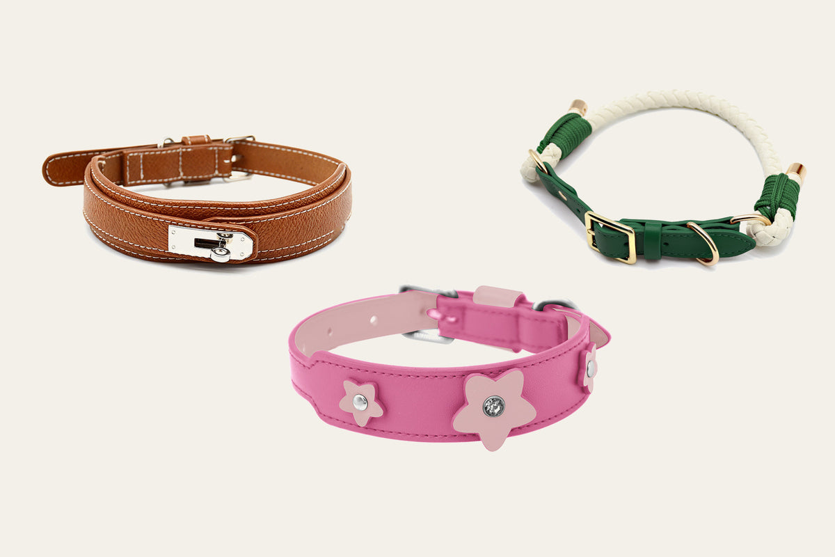 PAWD walk sets