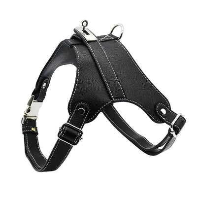 Luxury Leather Dog Harness and Lead Set