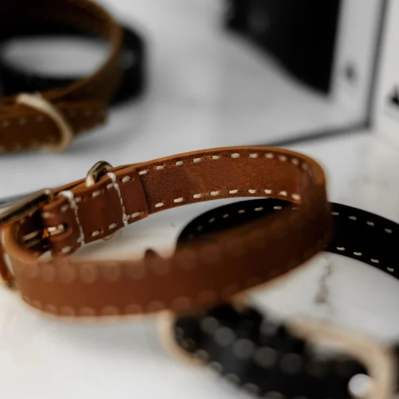 How to Care for Your Leather Collar