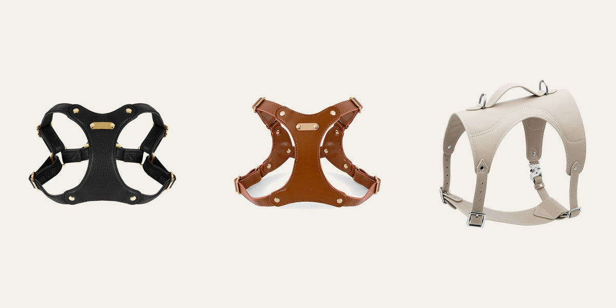 Best Harness for a Dog That Pulls