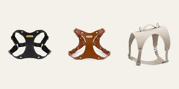 Three PAWD dog harnesses in black, tan and ivory