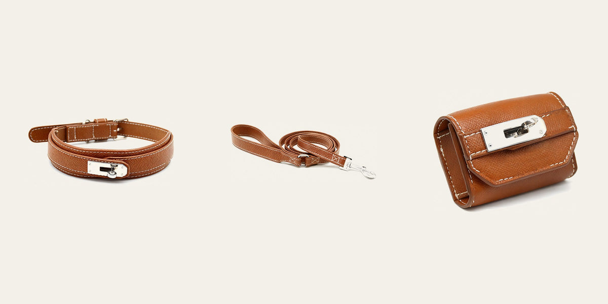 How to Care for Your Dog's Collar, Lead and Bed
