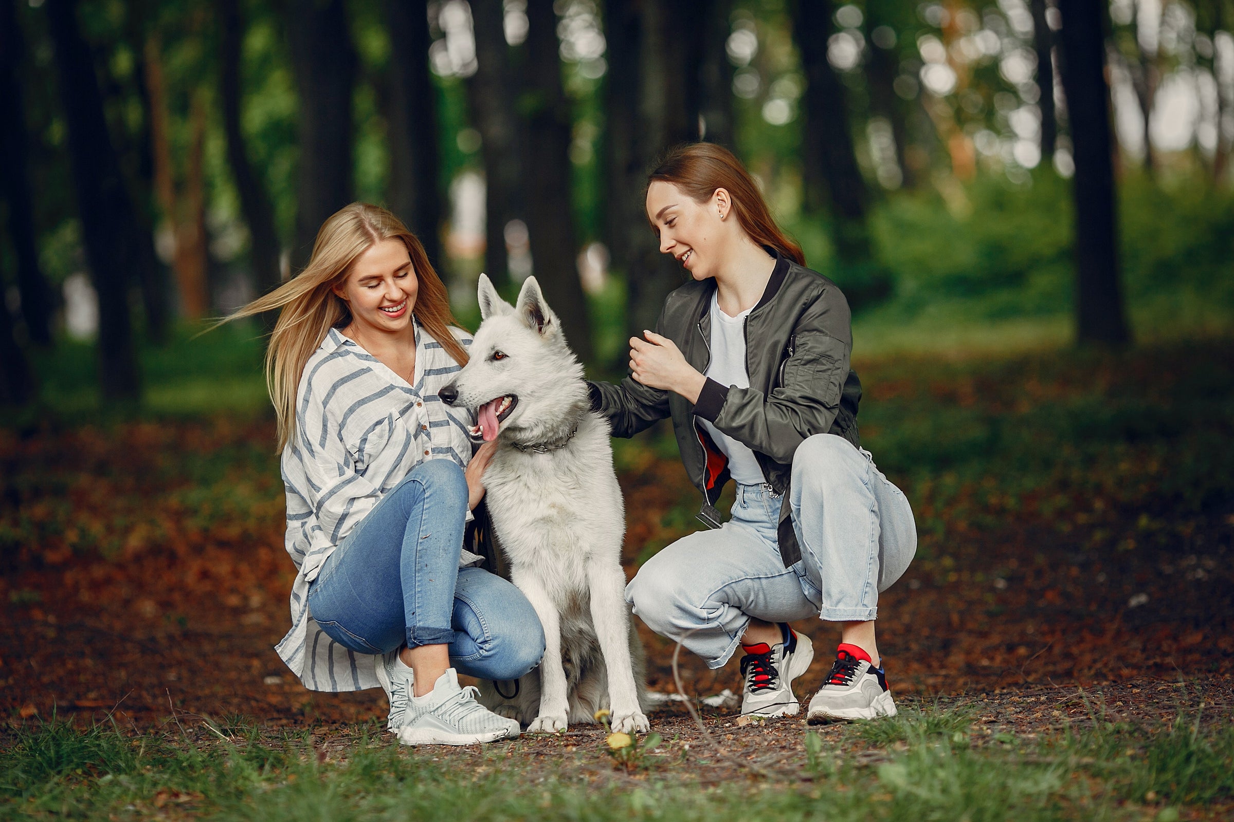 DOG LEASH SETS — PAWD