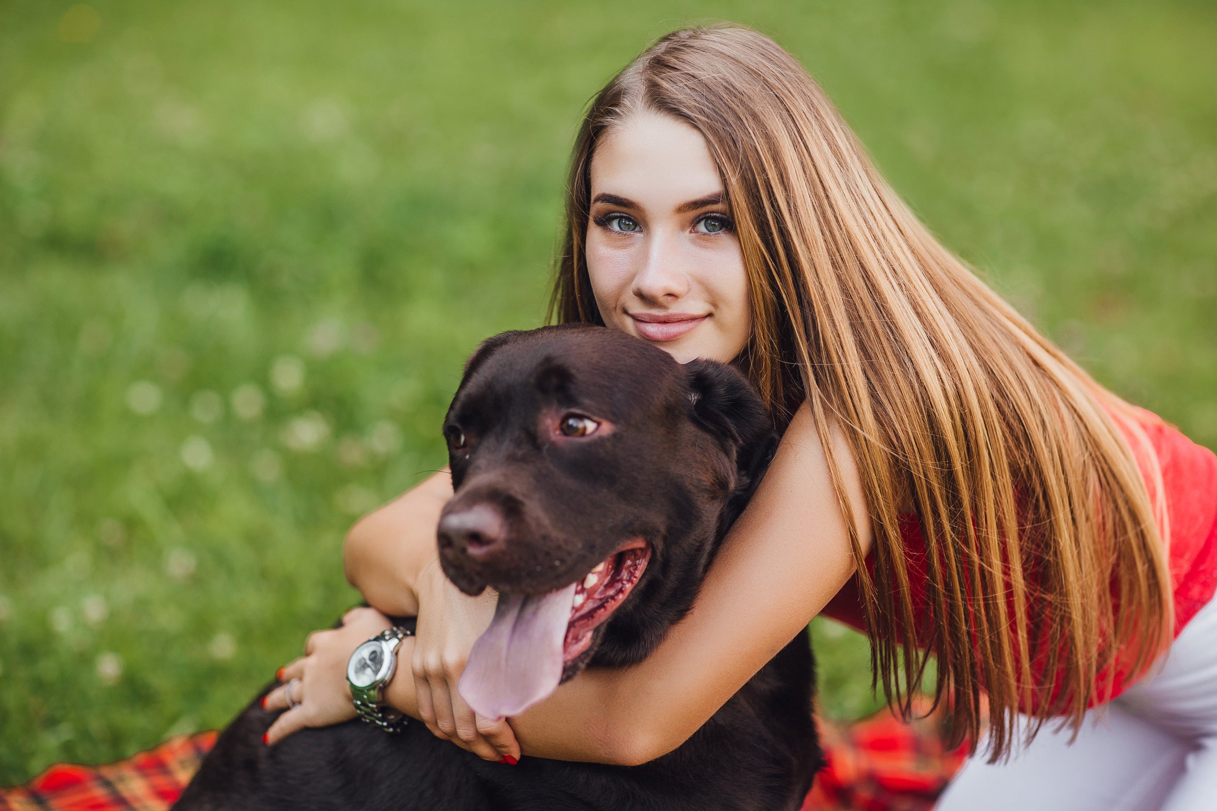 BEST SELLERS — PAWD