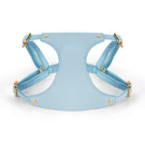 Butter Yellow Bow Harness Trio - Blue