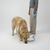 Illuminated Retractable Lead with Built-In Waste Bag Dispenser