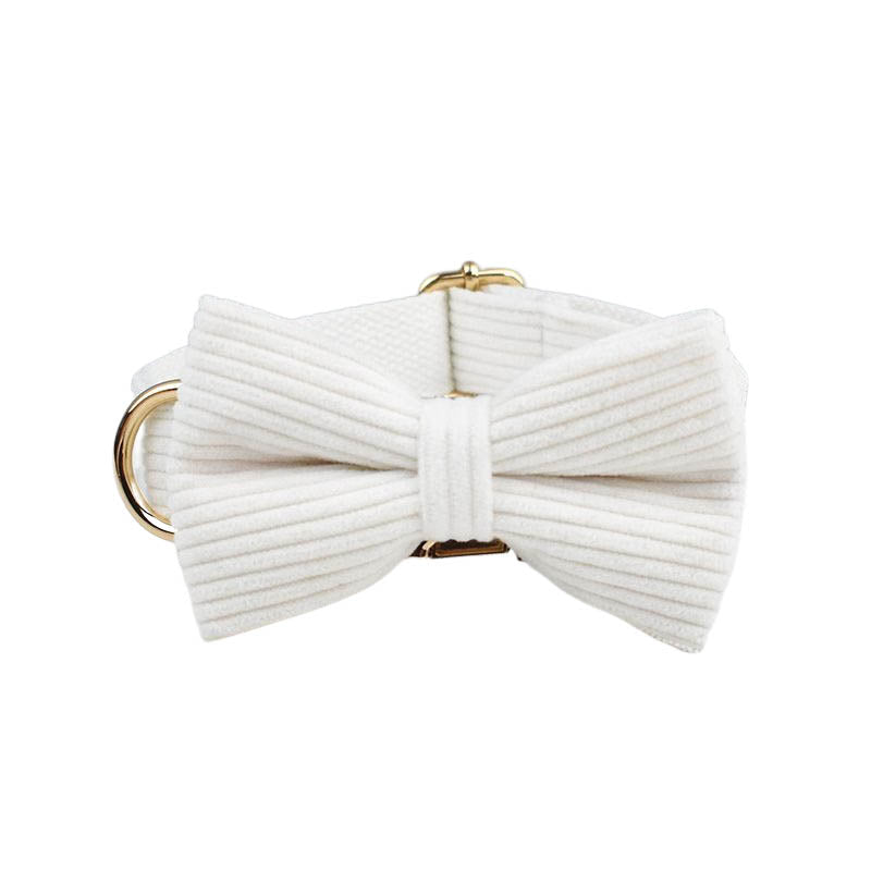 Tailored White Corduroy Harness Collar with Perosnalized Engraving