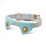 Star Stud Aqua & Grey Walk Set with Bag Holder Collar - Grey