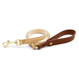 Star Stud Aqua & Grey Walk Set with Bag Holder Lead - Apricot