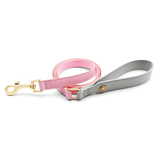 Star Stud Aqua & Grey Walk Set with Bag Holder Lead - Blush